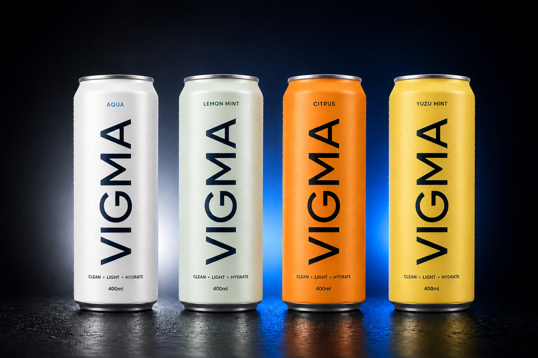 VIGMA Matte Black Performance Bottle